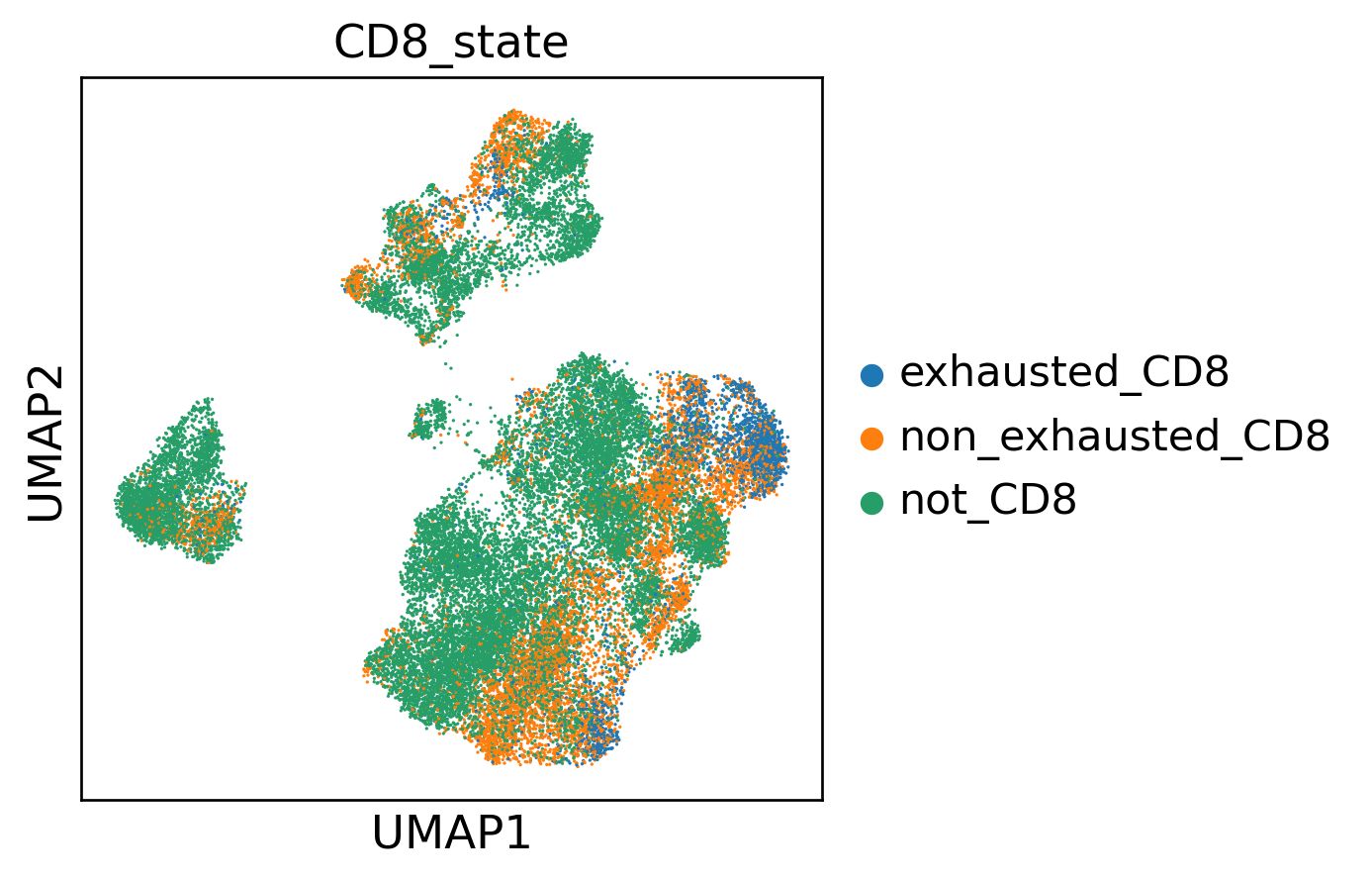 CD8 state UMAP