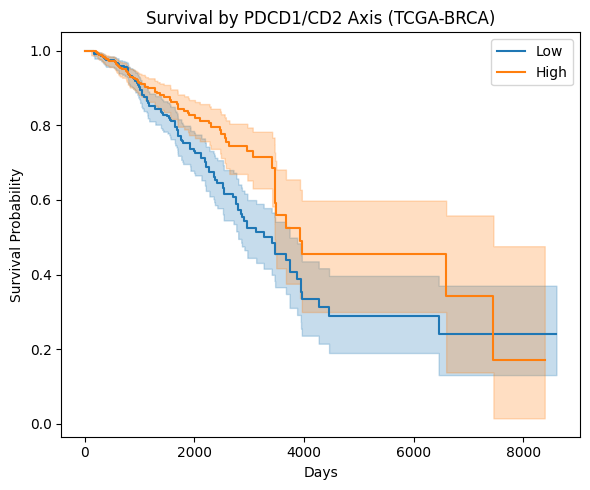 KM survival curves
