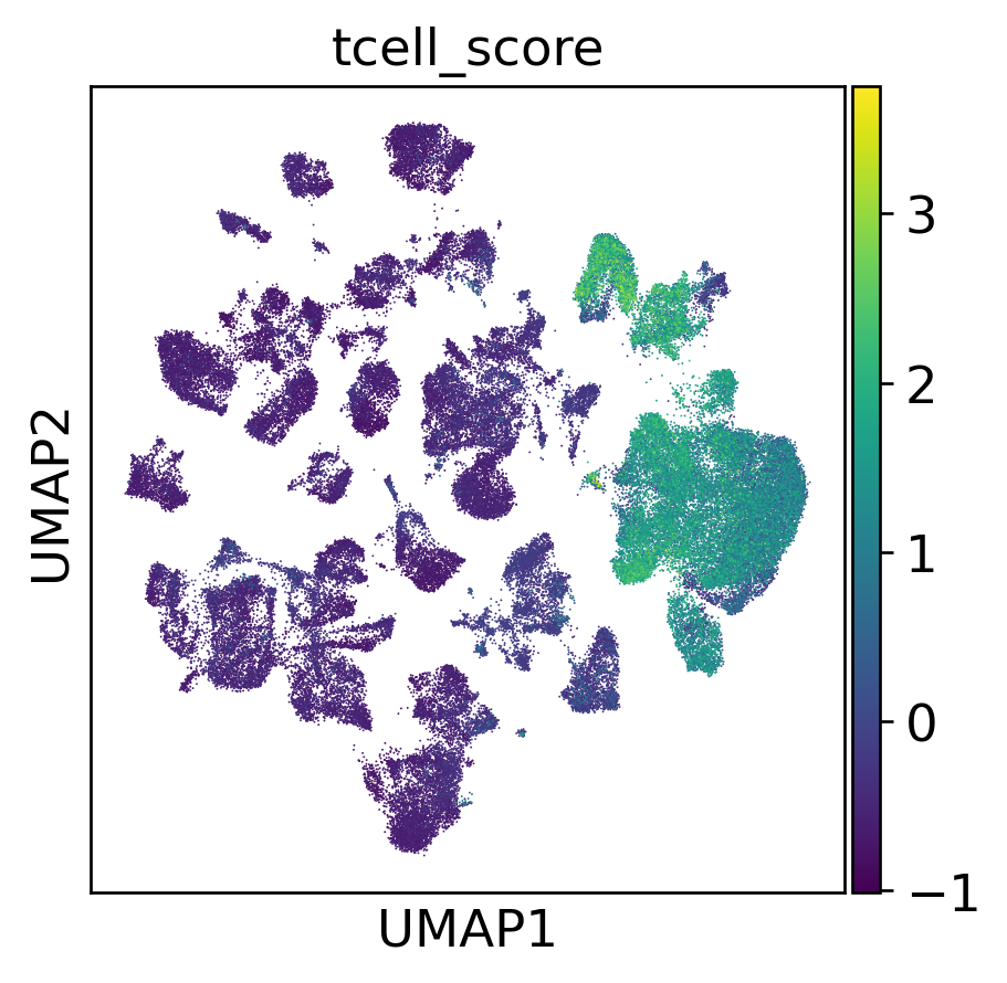 T cell score overlay