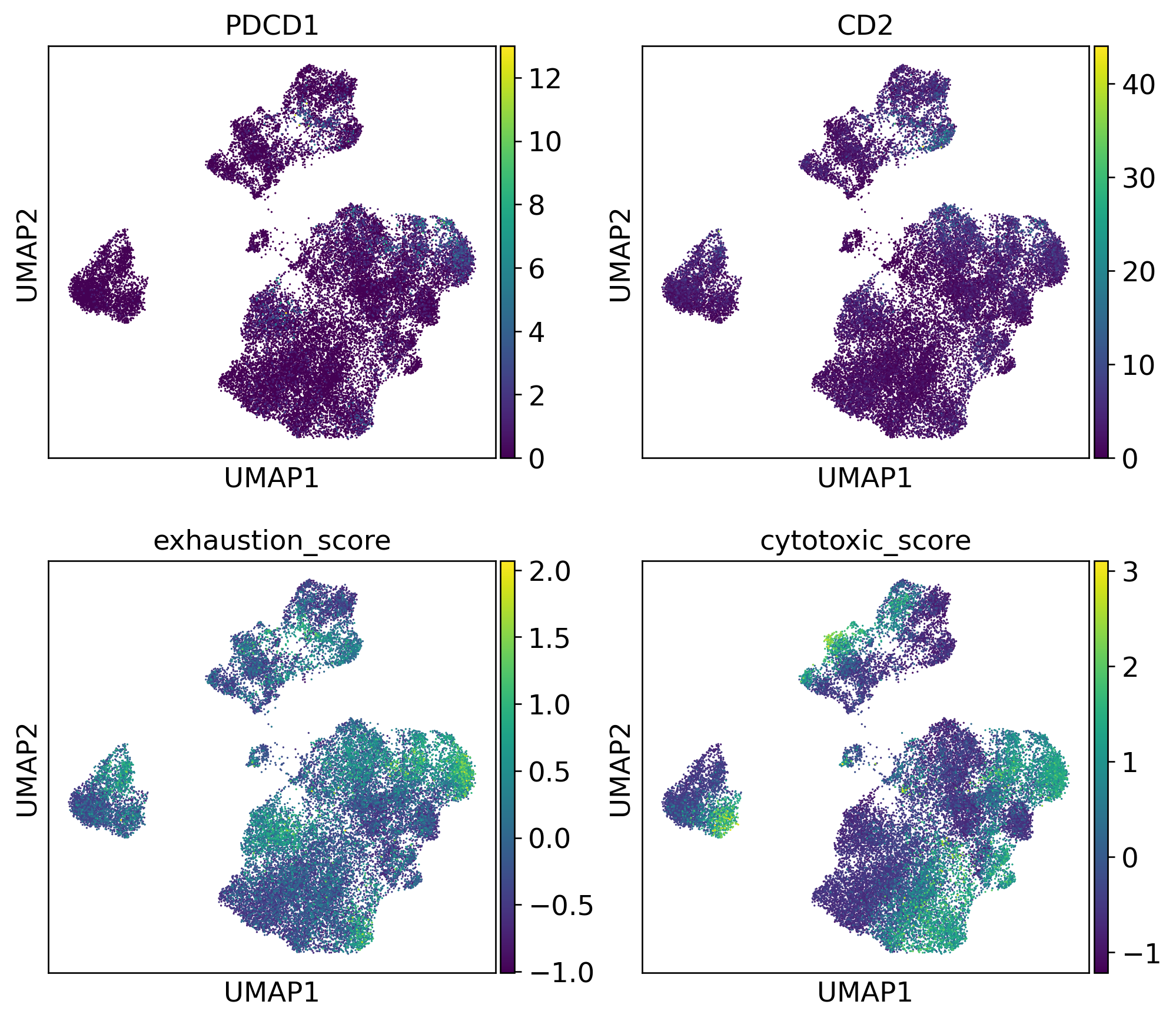 Gene expression UMAP