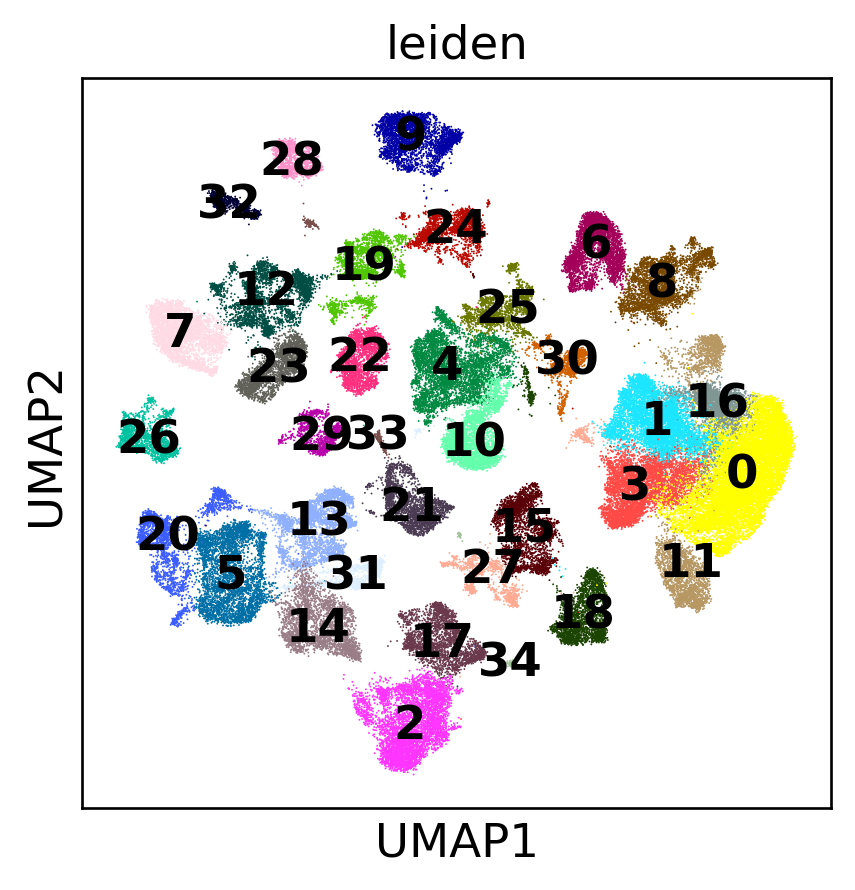 Full atlas UMAP with Leiden clusters